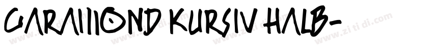 Garamond Kursiv Halb字体转换